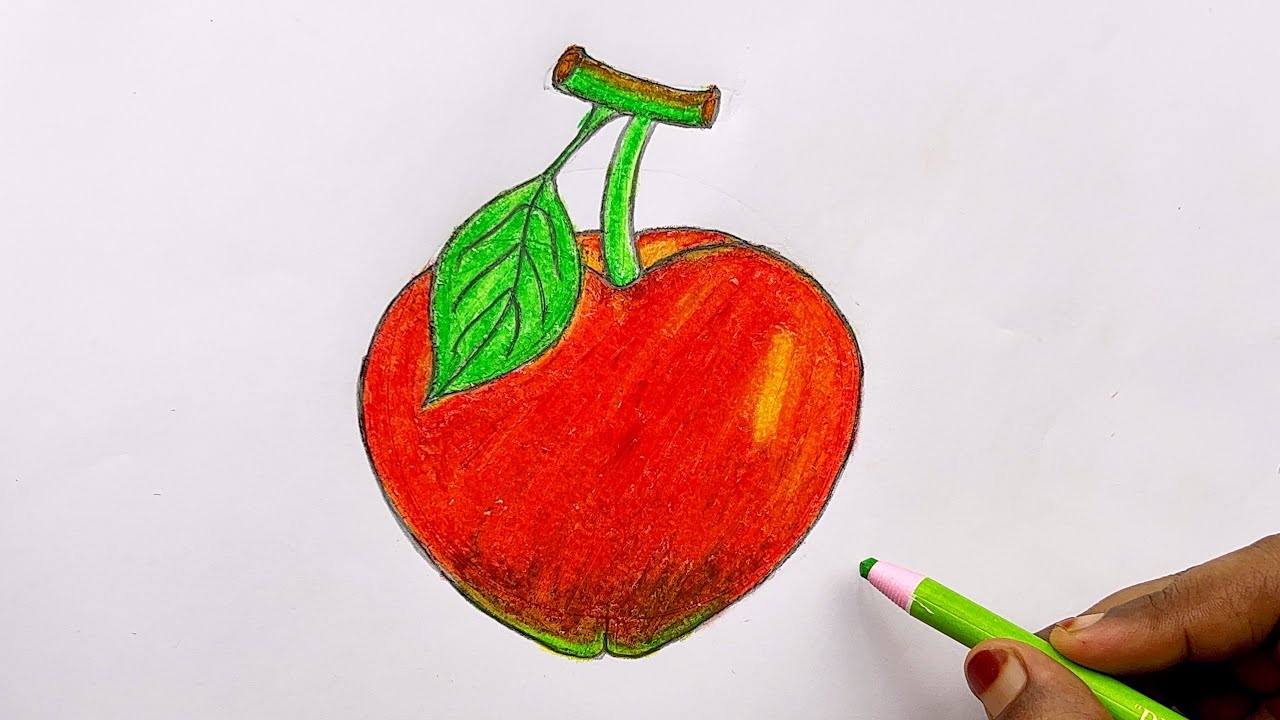 Easy Apple Drawing 🍎 || Step by Step Apple Drawing Guide || How to draw Apple || Apple Drawing