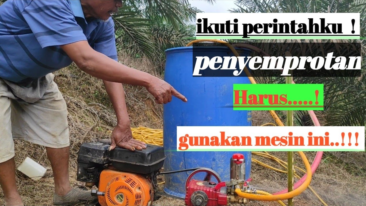 proses penyemprotan kebun sawit menggunakan mesin door semer.