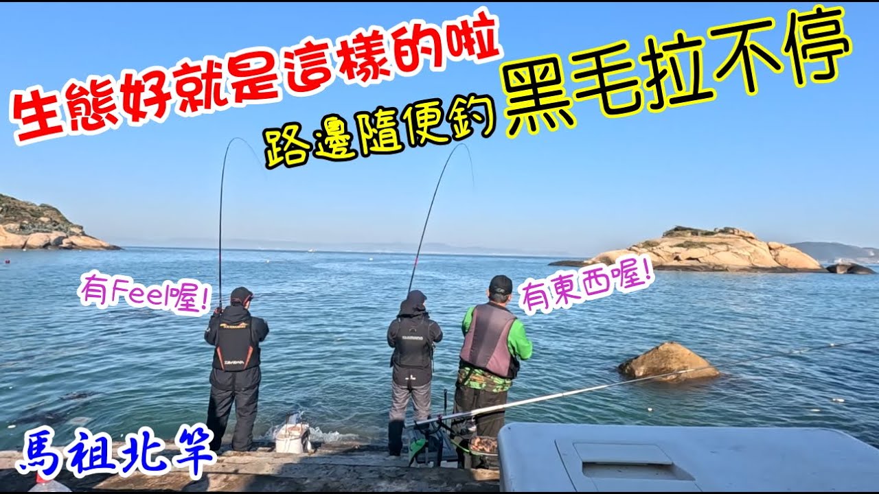 這裡黑毛拉翻天 這裡生態夠好  北竿芹壁路邊隨便釣就拉爽爽 今天釣魚很Chill很開心 #北竿磯釣 #磯釣黑毛#磯釣黑鯛 #馬祖磯釣