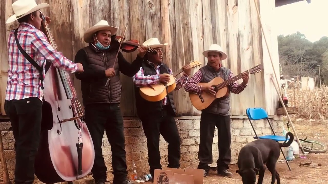 Grupo de cuerdas hermanos Ruiz de abasolo chalcatongo