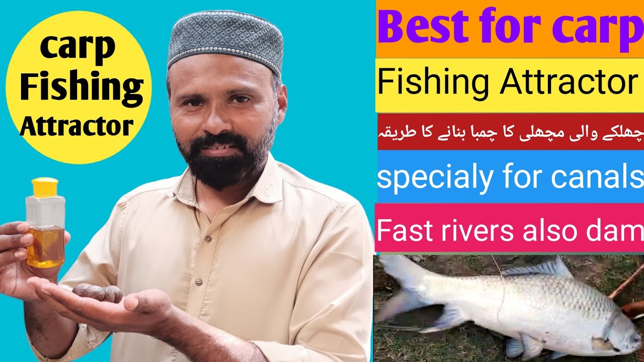 Pakistan river fishing|carp fish attractor|carp fishing oil|چھلکے والی مچھلی کا چمبا بنانے کا طریقہ