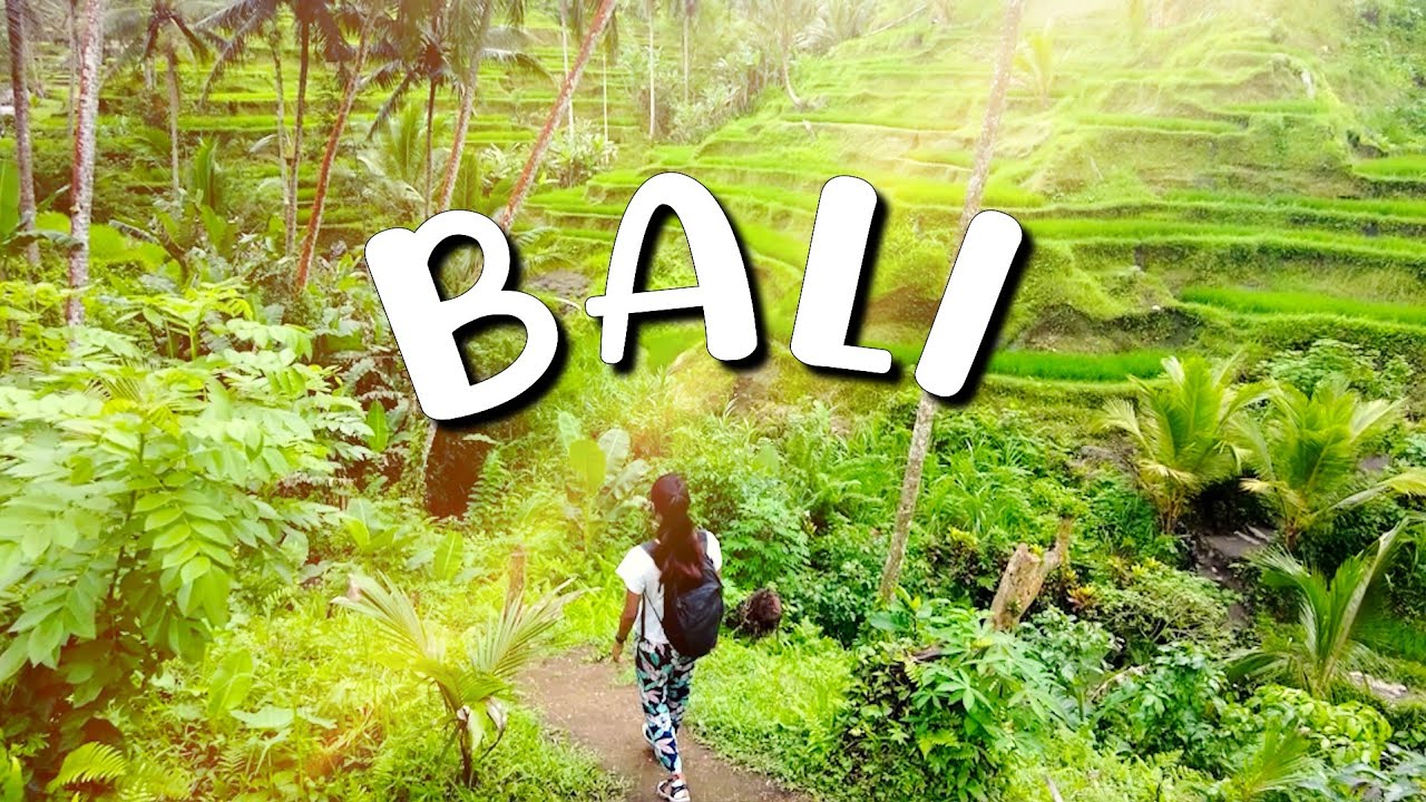 Indonesia 4K / Discovering the Beautiful Streets and Nature of Bali