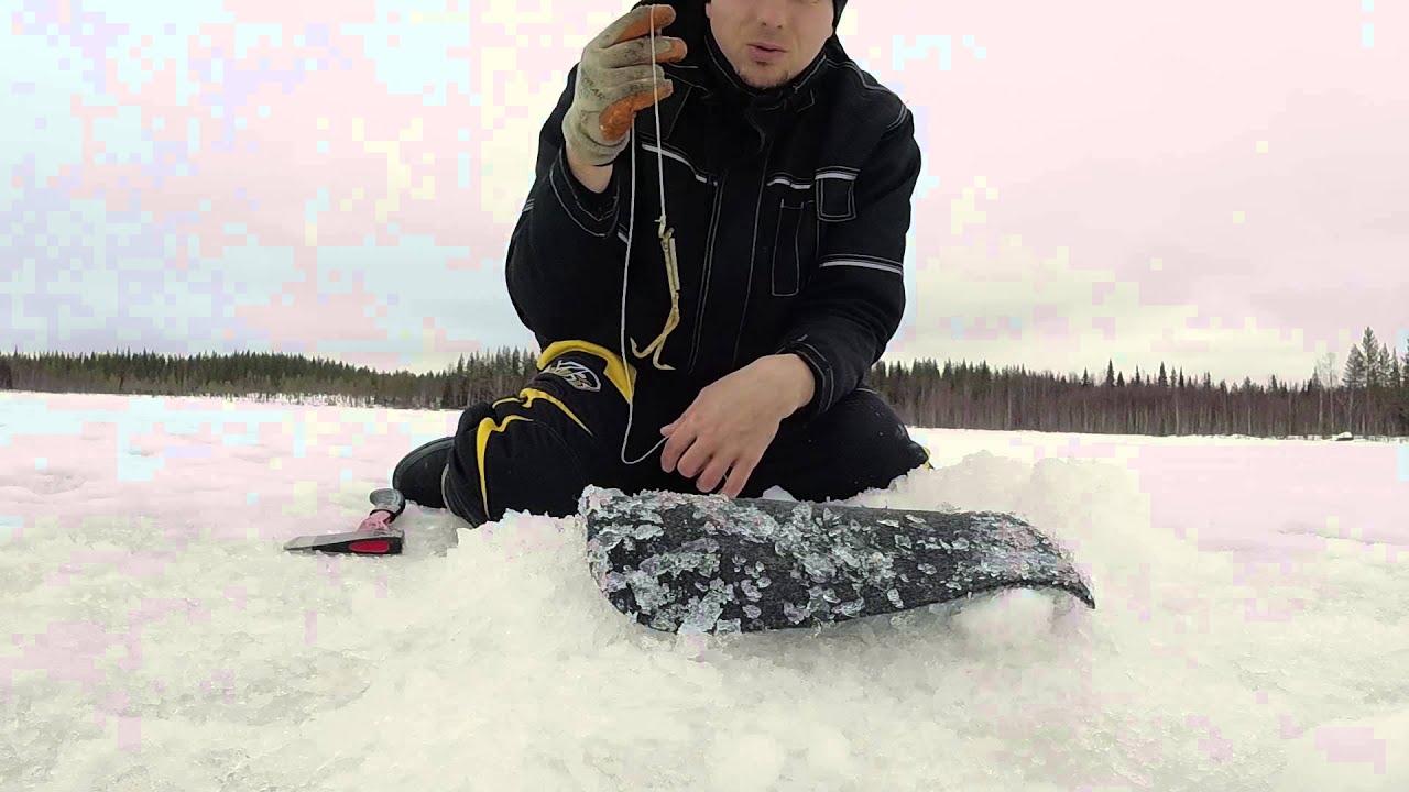 Haugi lõksud/ Pike traps/ Gäddsaxar 06.03.2015