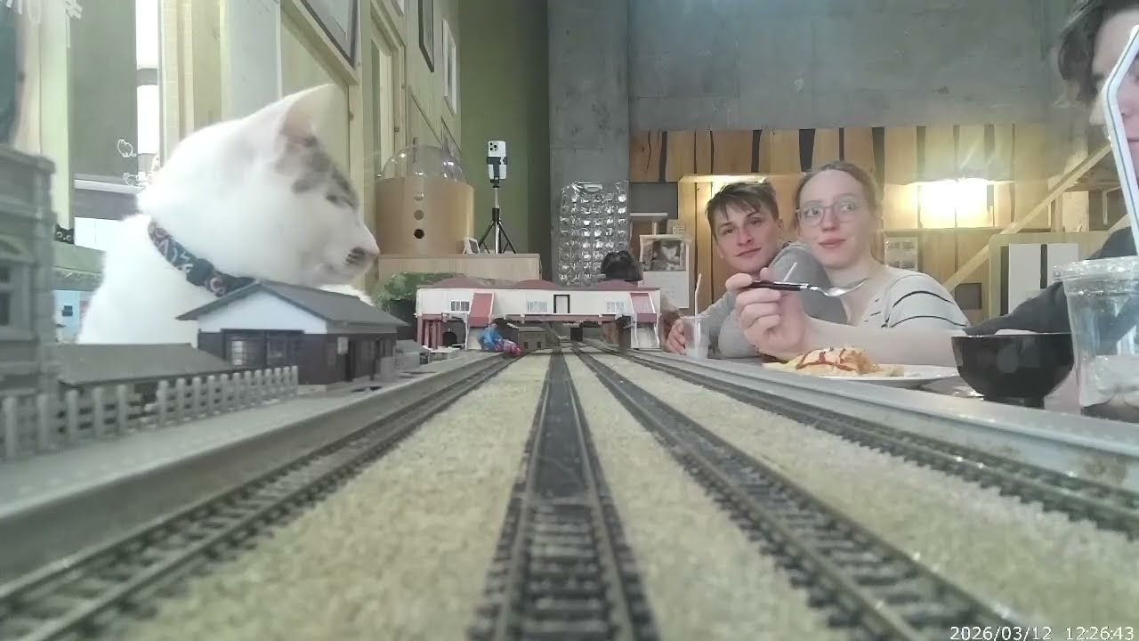 What a peaceful railway scene!