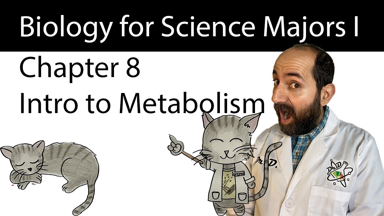 Chapter 8 – Introduction to Metabolism