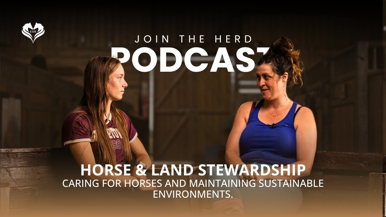 A Day in the Life: The Reality of Running an Ethical Horse Yard