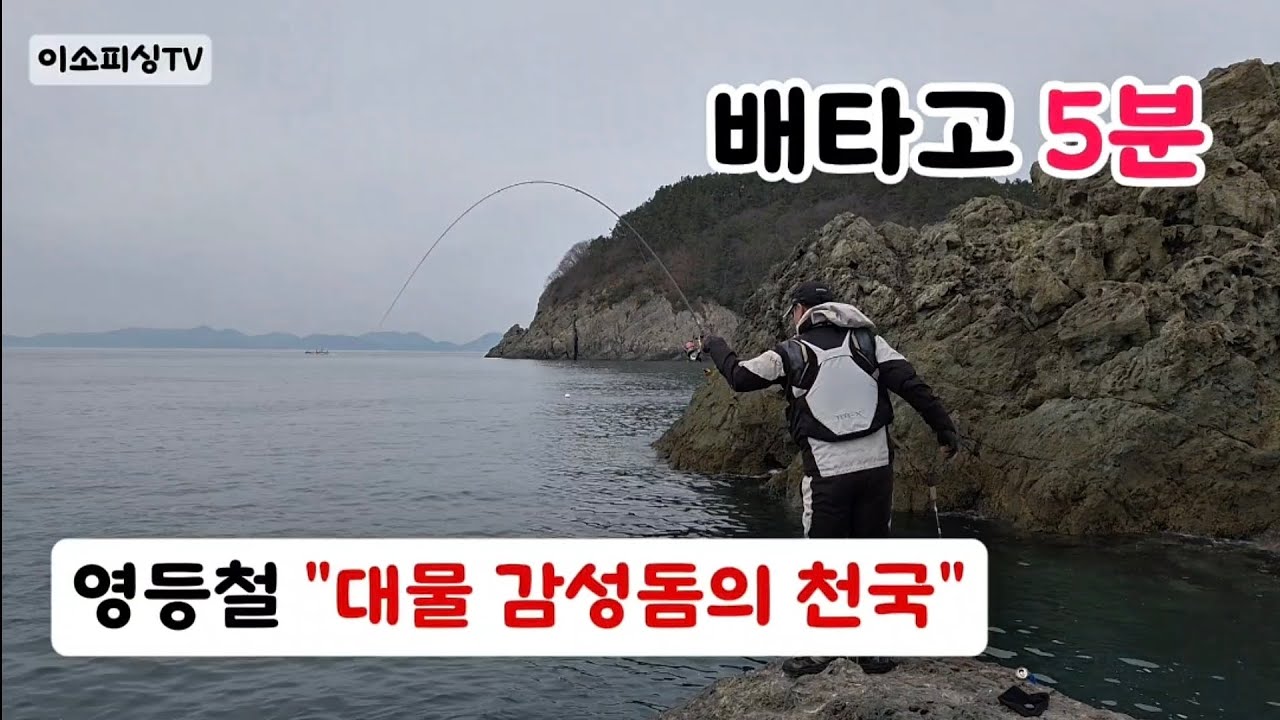사람도 없고 조용하고 한적한 갯바위..영등철 저수온기 대물 감성돔의 천국