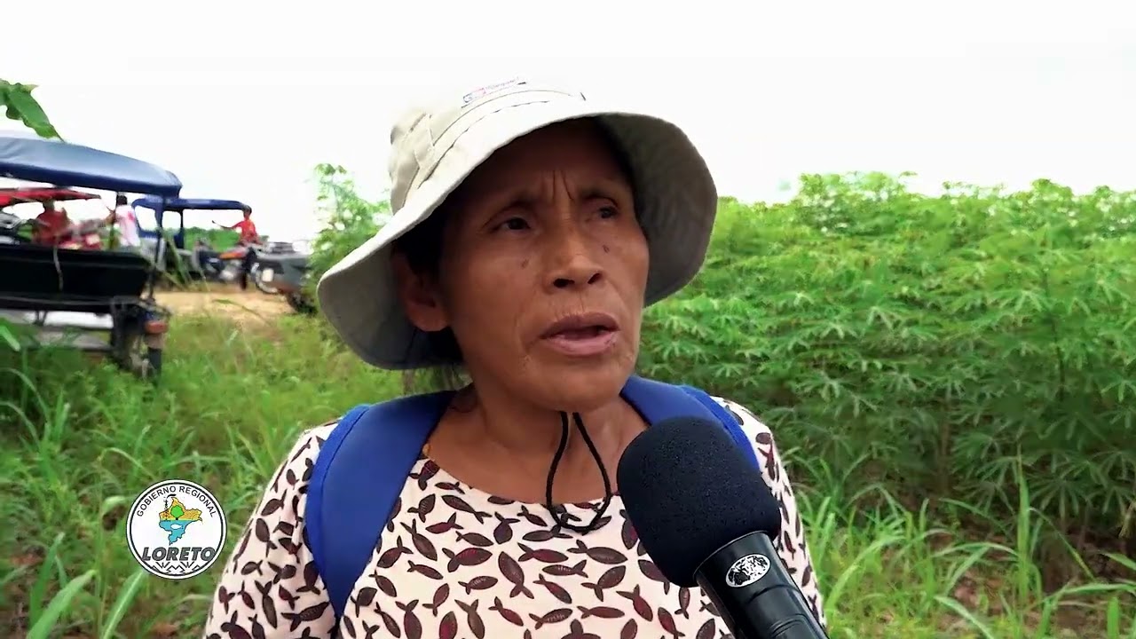 EL PROYECTO DE YUCA DEL GORE LORETO