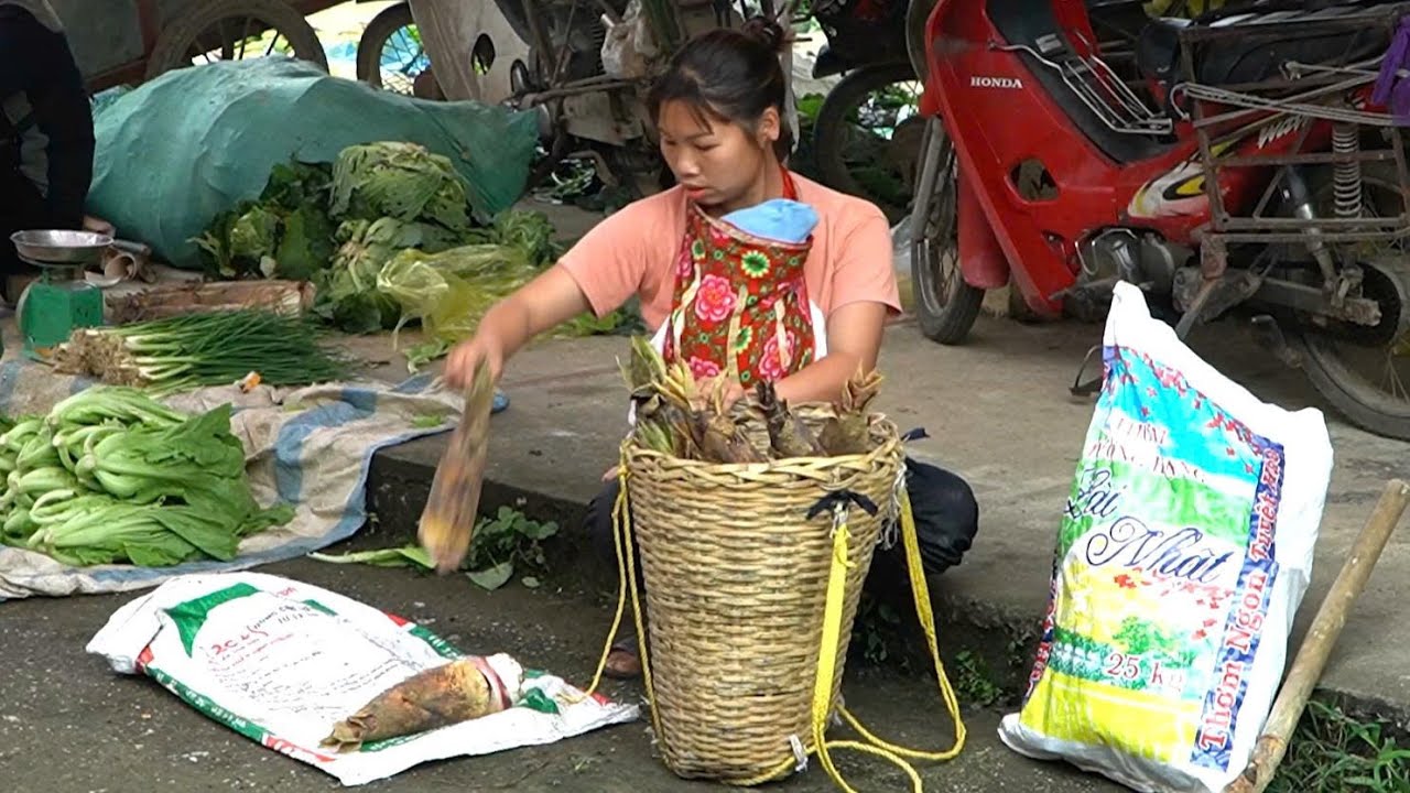 go get bamboo shoots to sell at the market, the life of the highlanders