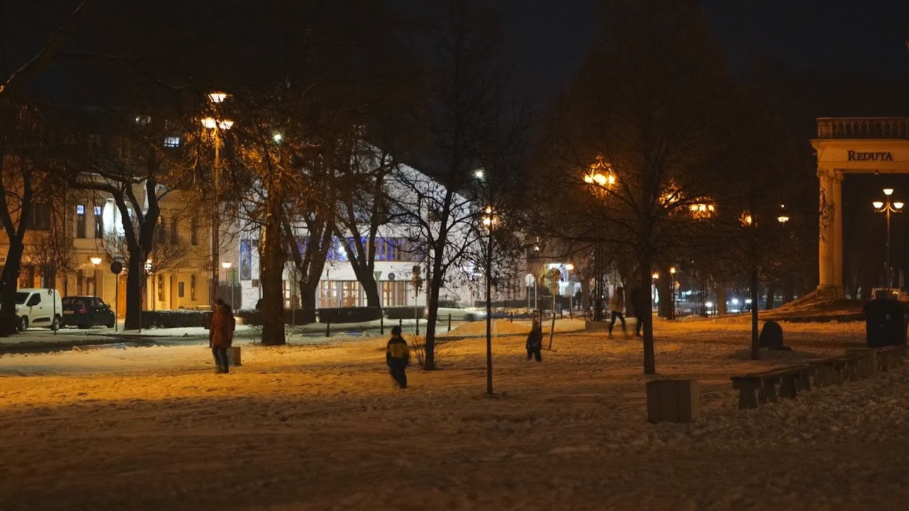 Bilancia obyvateľstva SNV