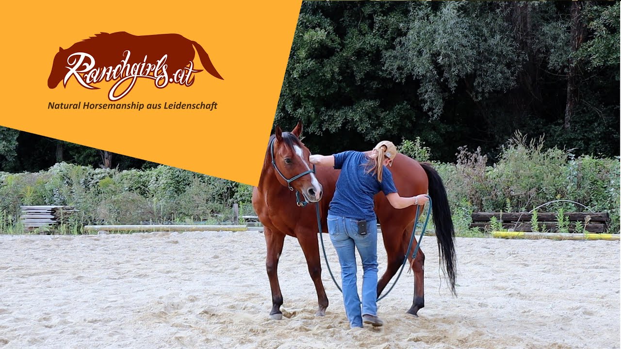 Training L3: Indirektes Gefühl: Hinterhand weichen (mit Seil), 2 Tritte