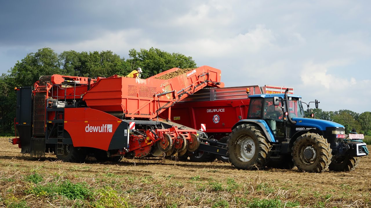 Potato harvest | New Holland 8560 | Dewulf RQ2060 | Filaard BVBA