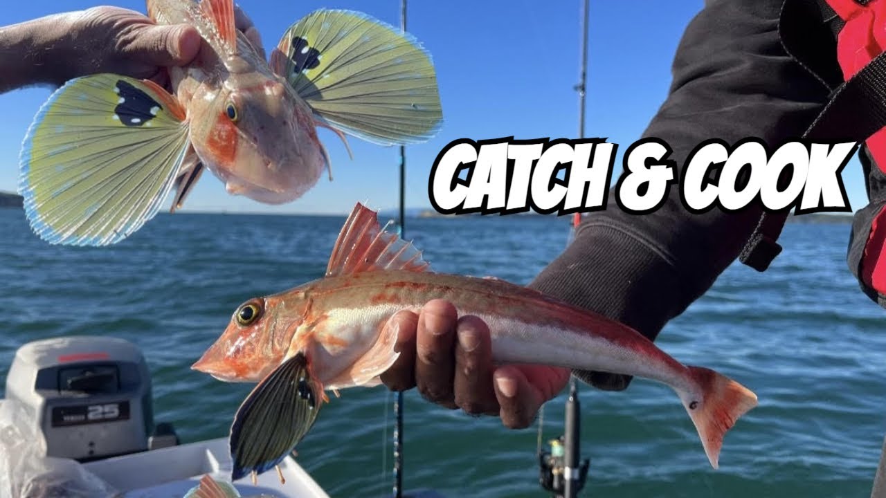 WINTER DINGHY FISHING in AUCKLAND  - New Species UNLOCKED! (Catch and Cook NZ) - 4K