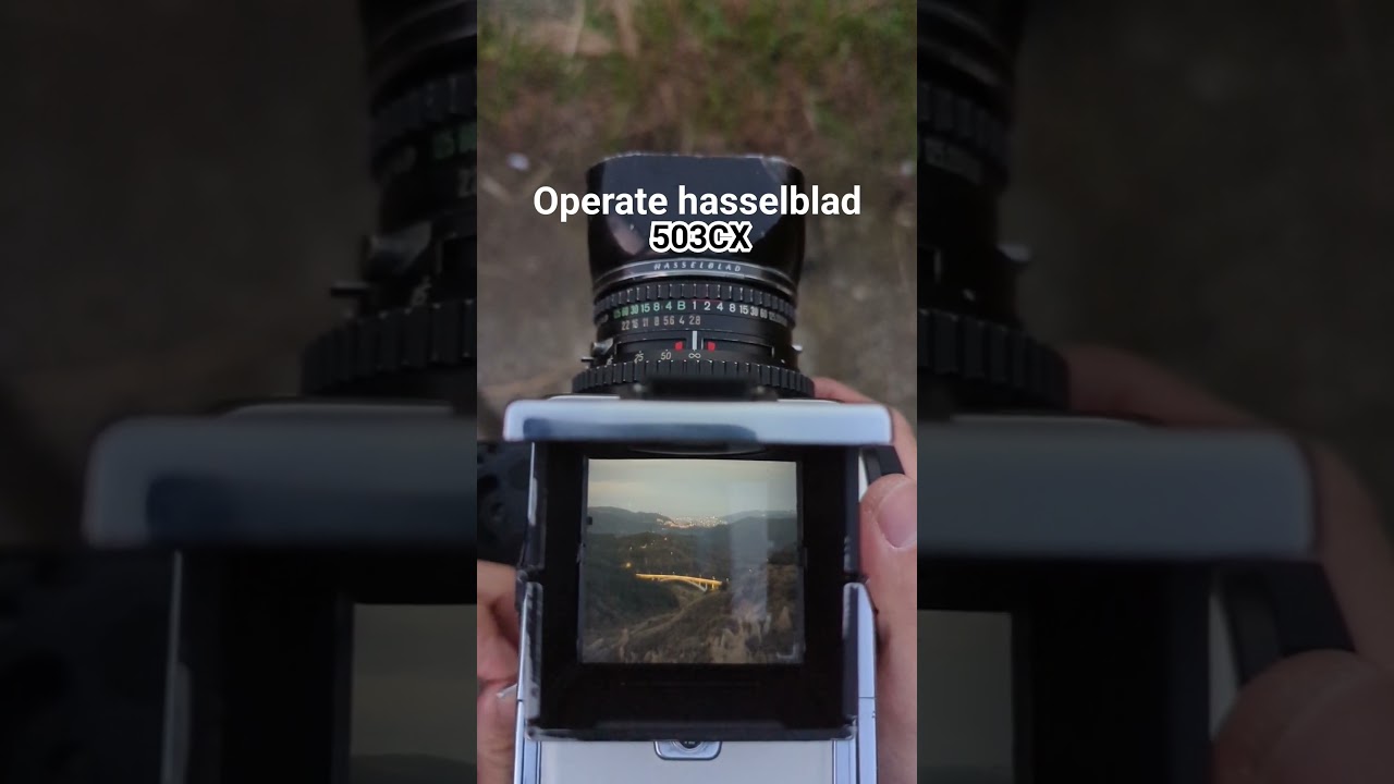 #hasselblad_camera #hasselblad #503CX #陽明山