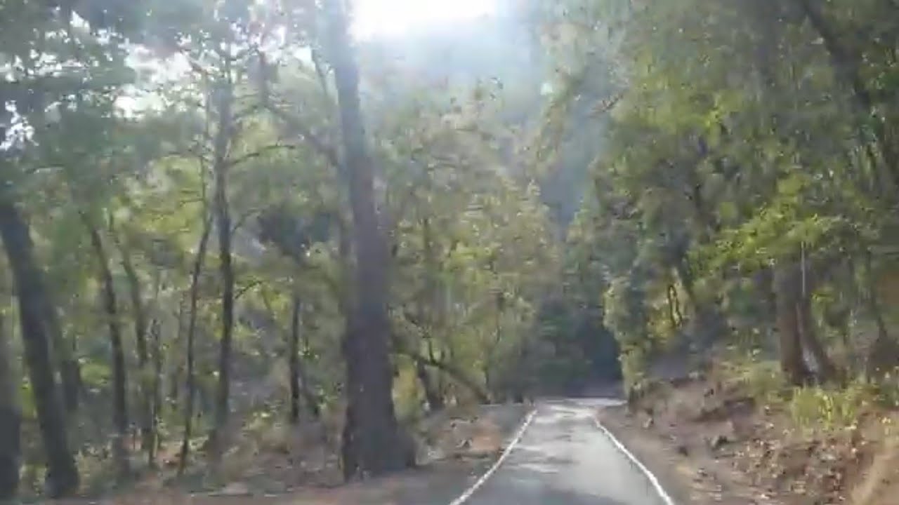  जिम कॉर्बेट राष्ट्रीय उद्यान (उत्तराखंड)