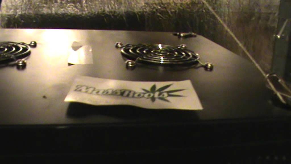 201509Ecosunlite COB LED Growing