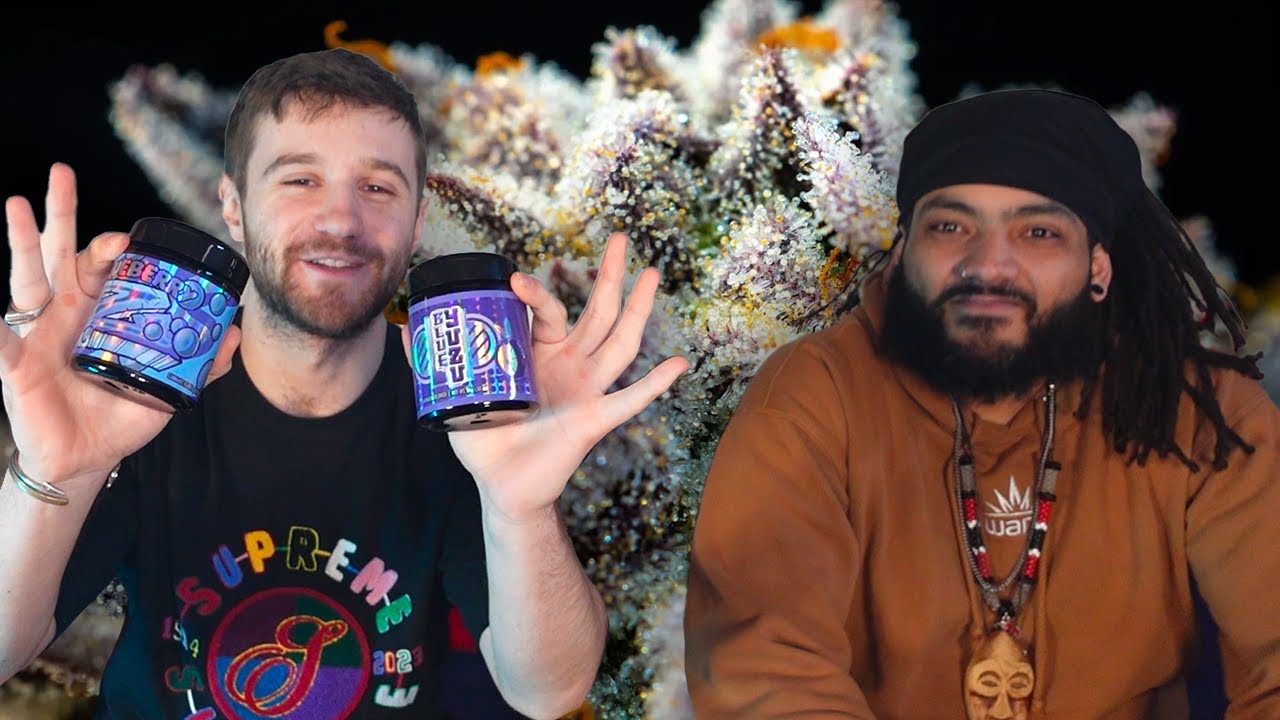 Blue Yuzu vs Blueberry Z (Exotic Matter)