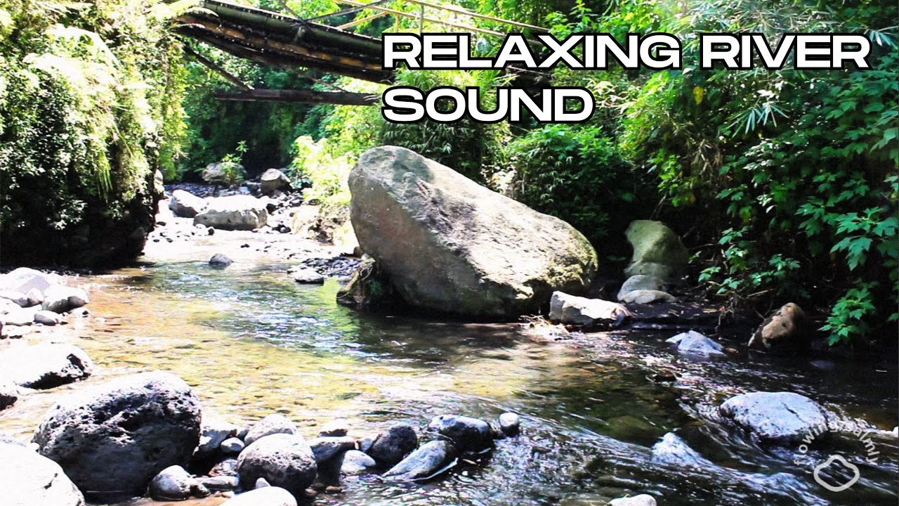 Deep Sleep with  River Sounds | Relaxing Nature ASMR