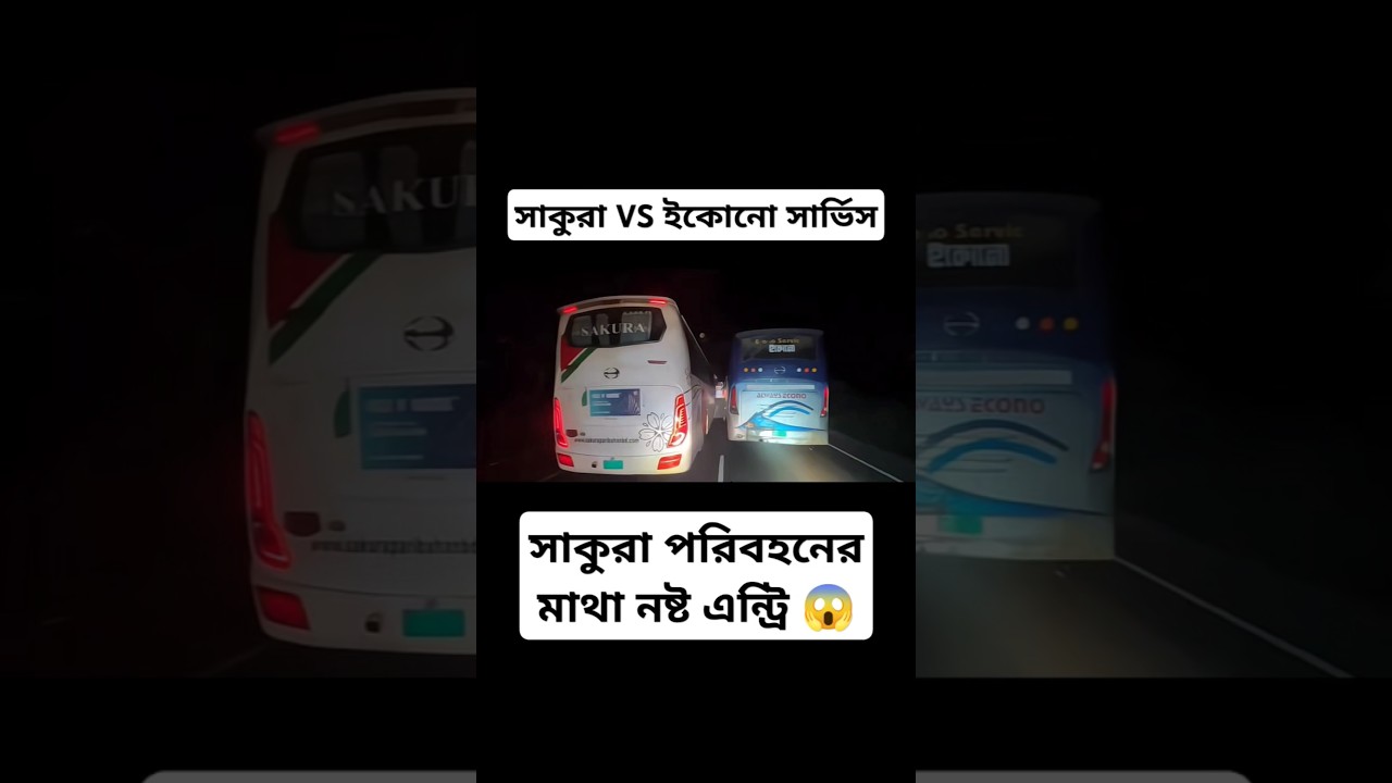 Sakura Vs Econo Service Bus 😱🔥 #bus #sakura #econo #shorts #automobile #viralvideo #hanif