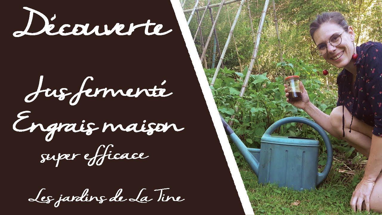 Jus fermenté aux orties - super engrais fait maison - Les jardins de La Tine
