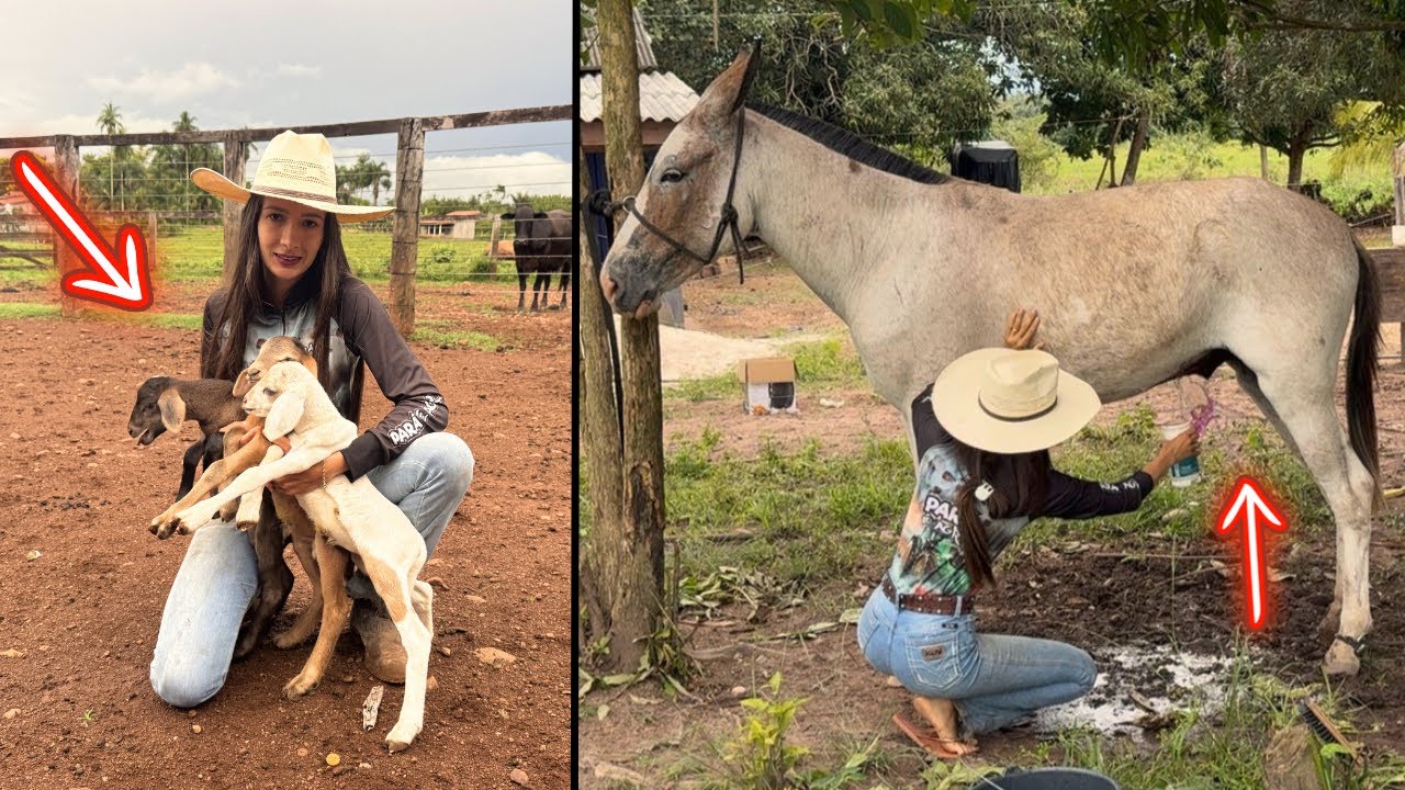 TIVEMOS UMA GRANDE SURPRESA AO CHEGAR NA FAZENDA 😱