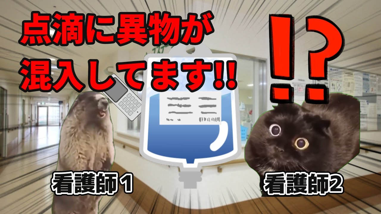 ３か月で４８人も…次々と患者が亡くなる病棟!?【猫ミーム】