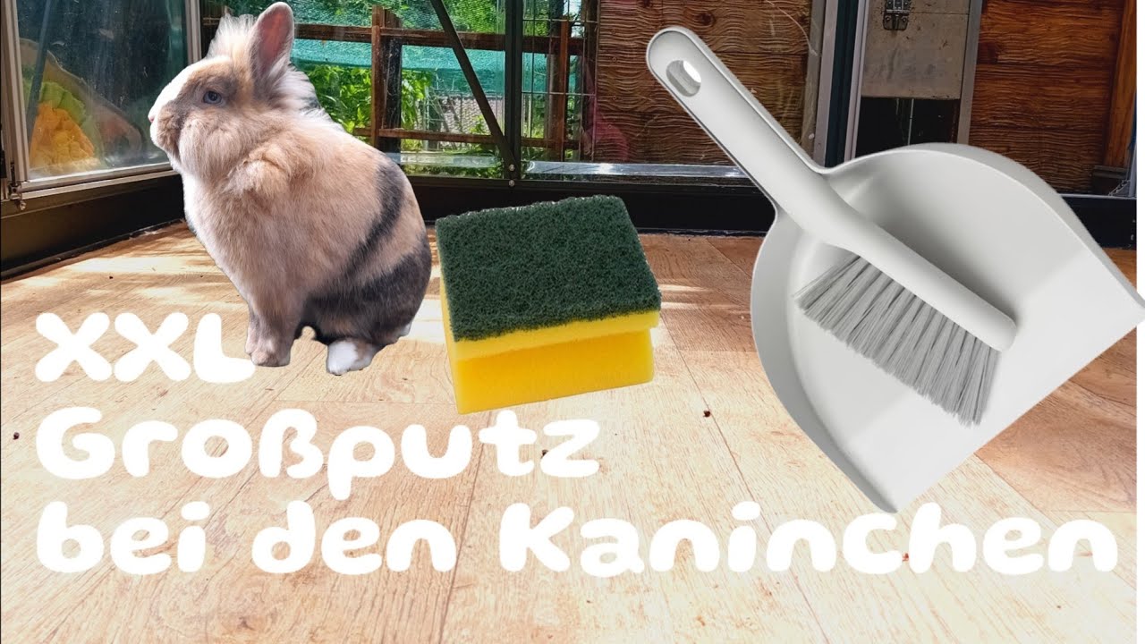 XXL Großputz bei den Kaninchen 🧹🧽🐇🐇
