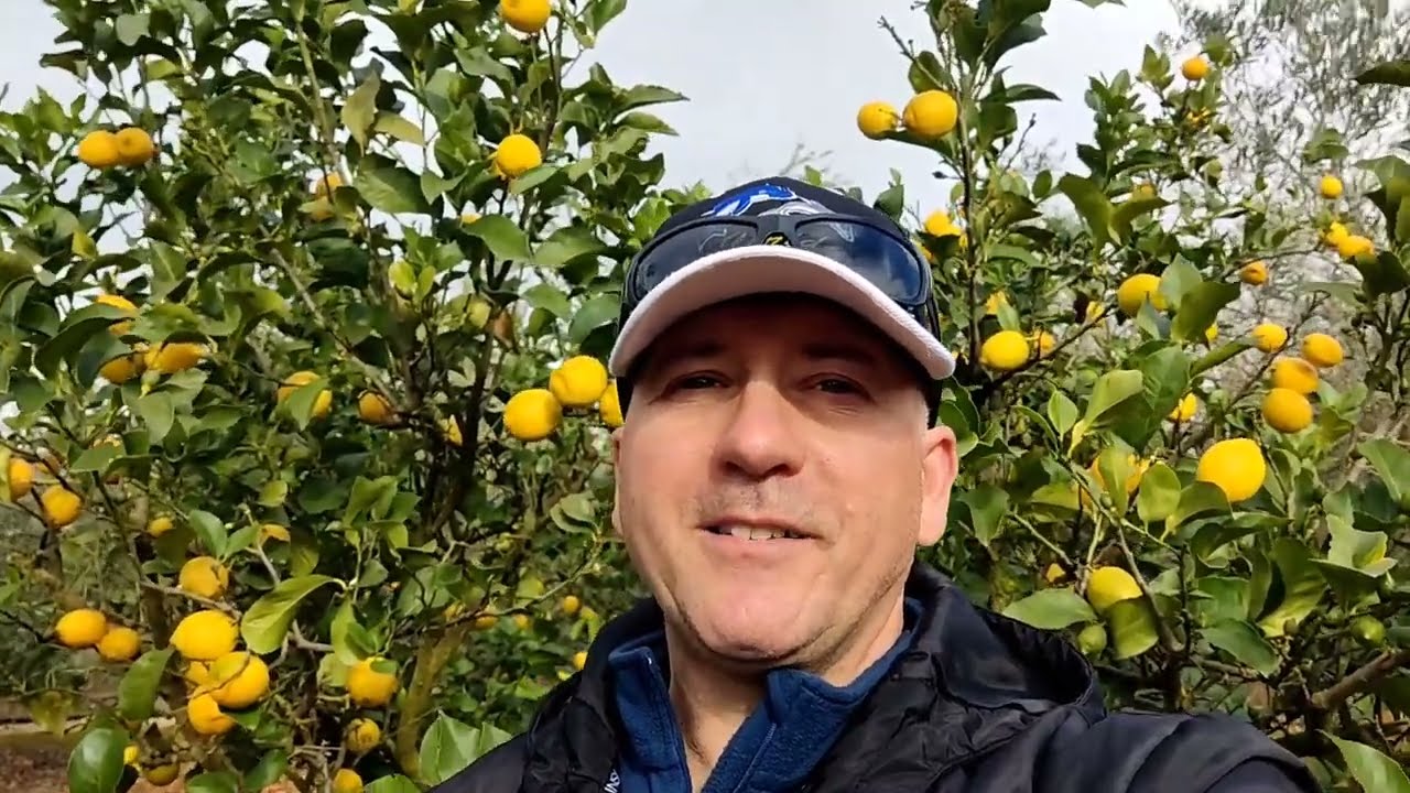 Entrenamiento fácil en el campo 