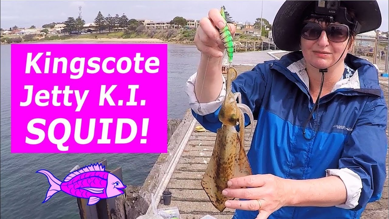 Kingscote Jetty Squid Fishing, Kangaroo Island, fishing South Australia