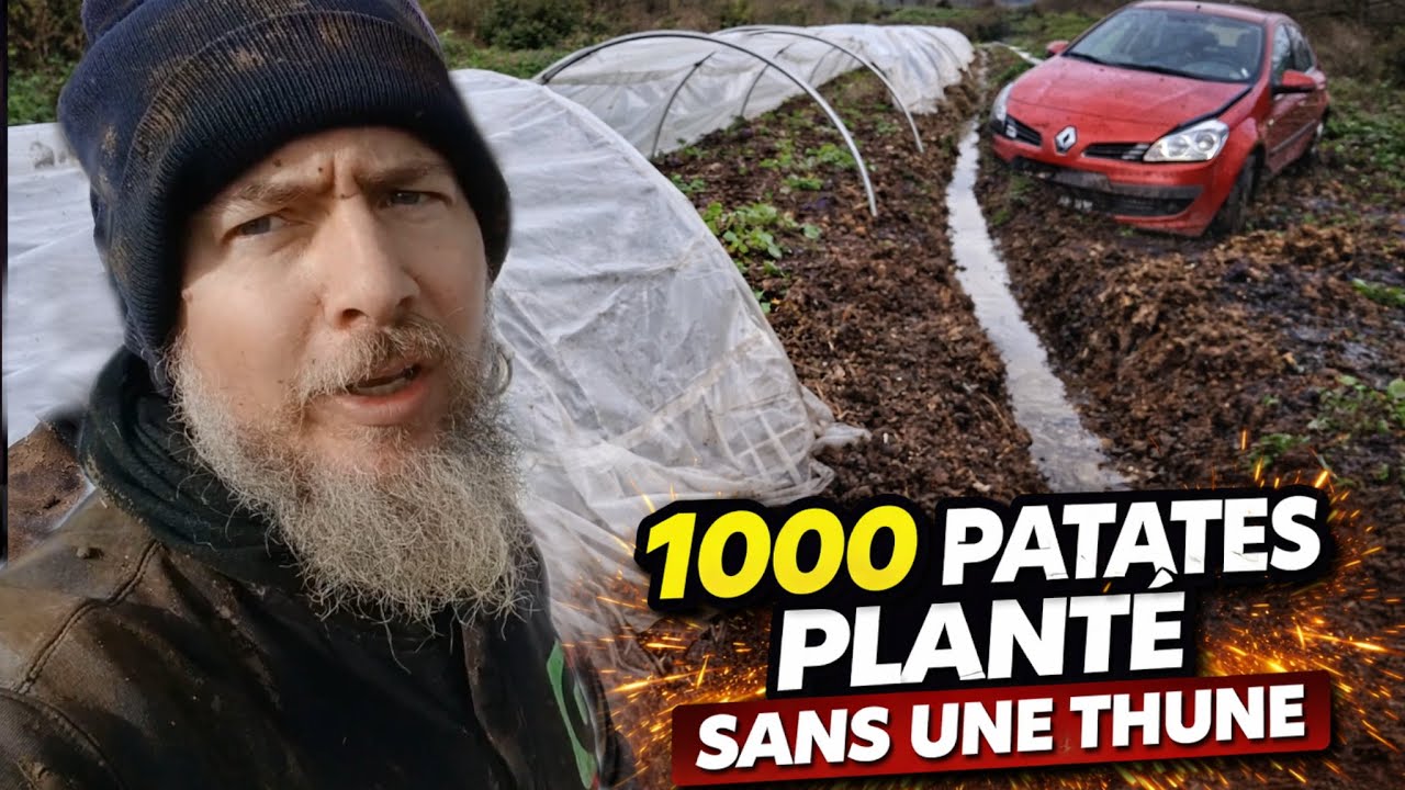 J'ai trouvé une solution ... sans argent !