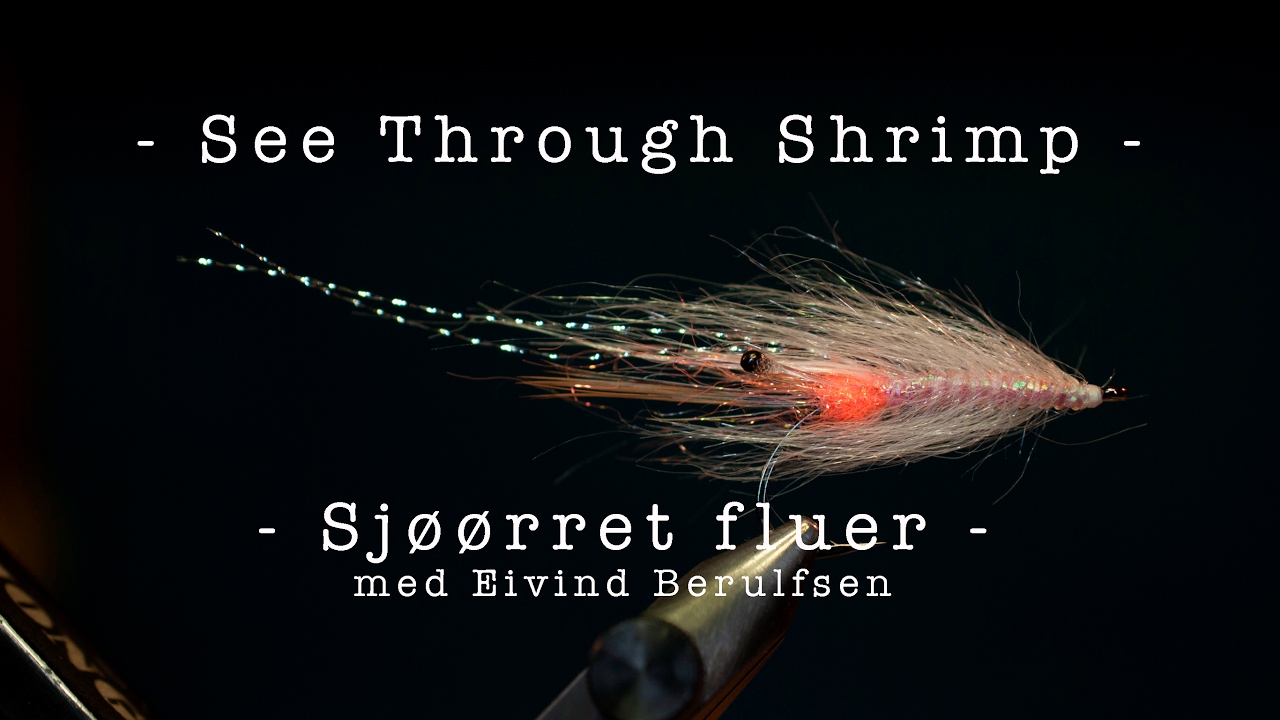 Sjøørret fluer - See Through Shrimp. Med Eivind Berulfsen.