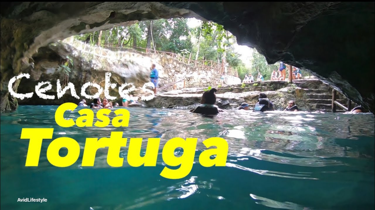 Cenotes Casa Tortuga - Tulum, Mexico