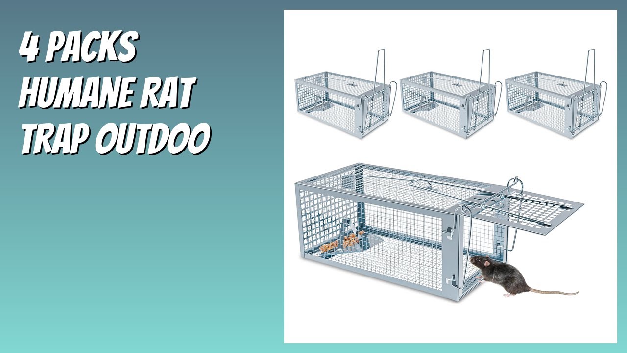 REVIEW (2026): 4 Packs Humane Rat Trap Outdoo. Features