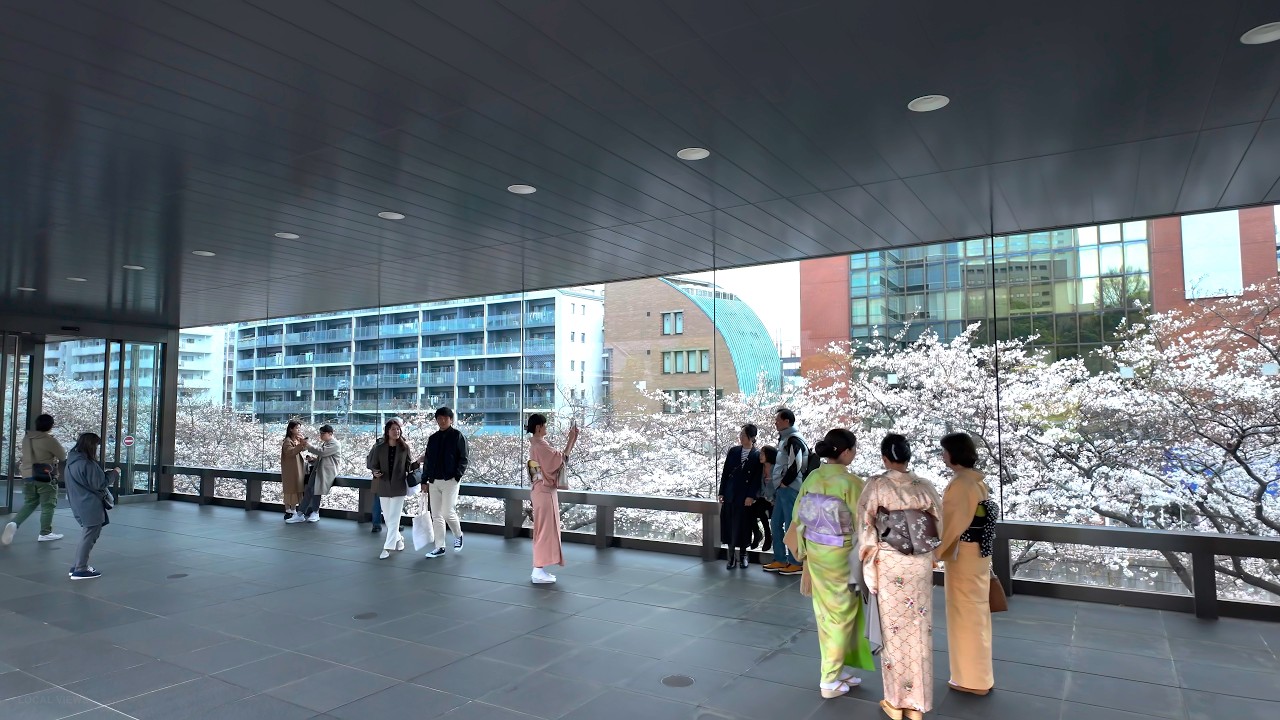 Tokyo Meguro Walk - Japan 4K HDR