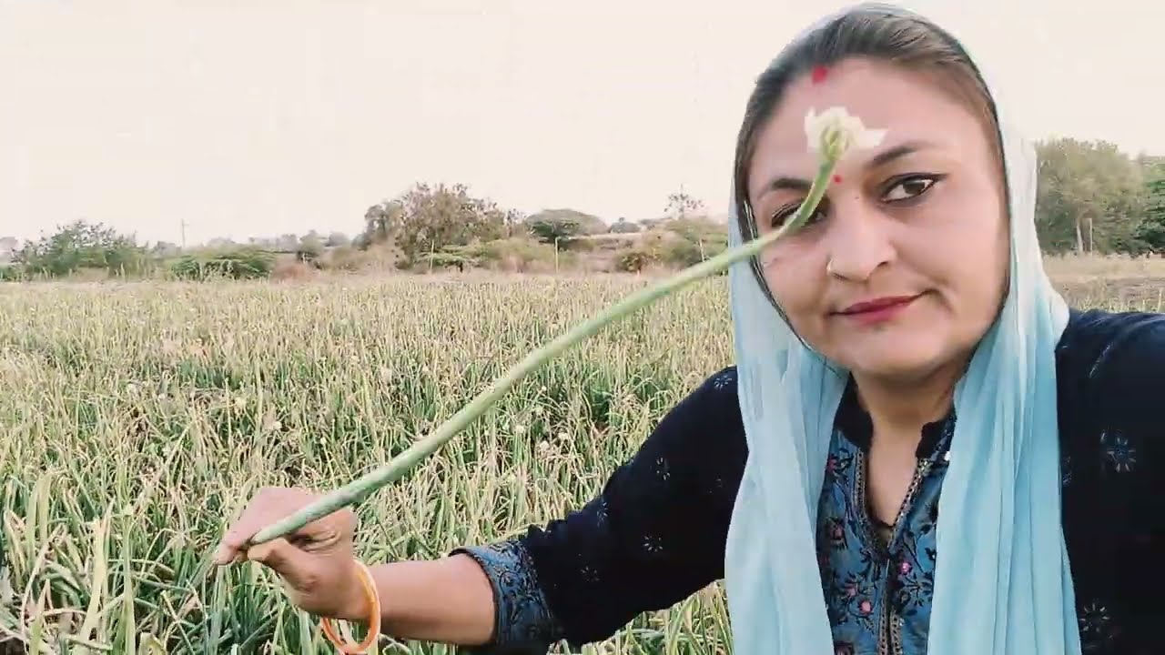 🙏બાપા સીતારામ અમારે 😱 ડુંગળી 🌱 કેવી થય ગય છે 🌱🙏જોવો હવે સૂ કરશું 🌱😱કહો તમે અમને 😀😱 ડુંગળીનું ગોરસ