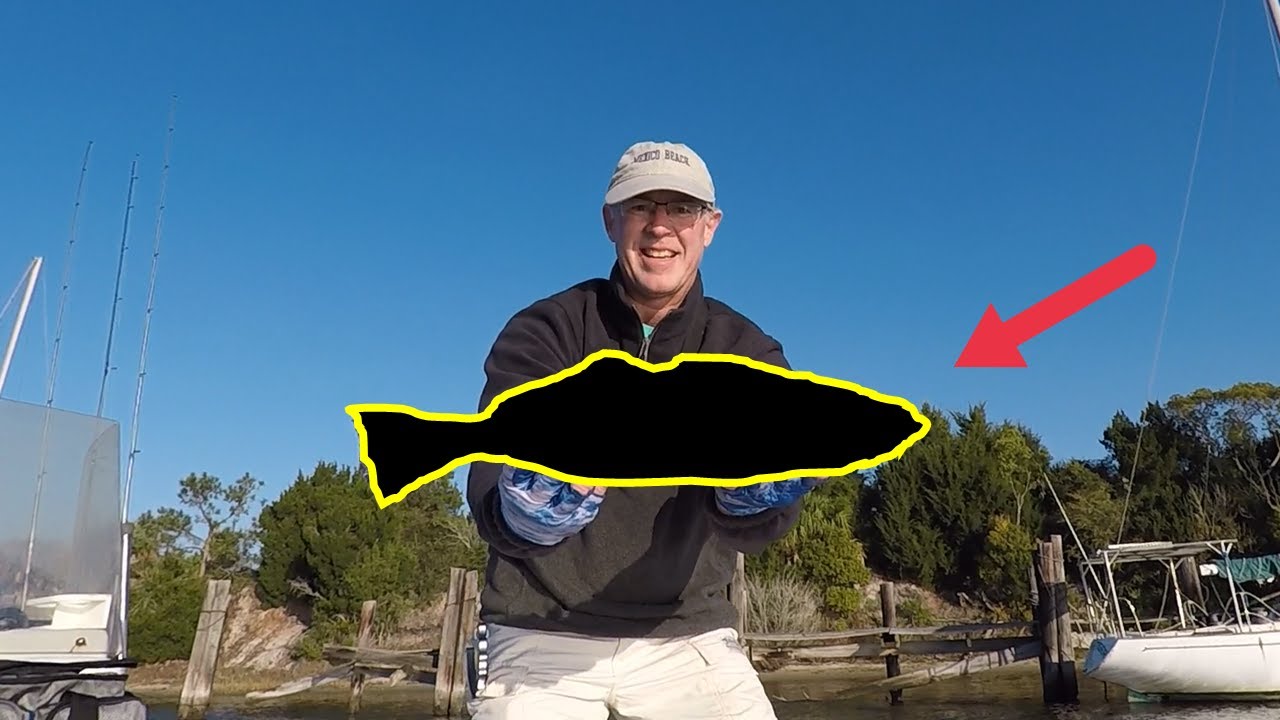 Didn't Expect to Catch This! Almost Broke My Rod!