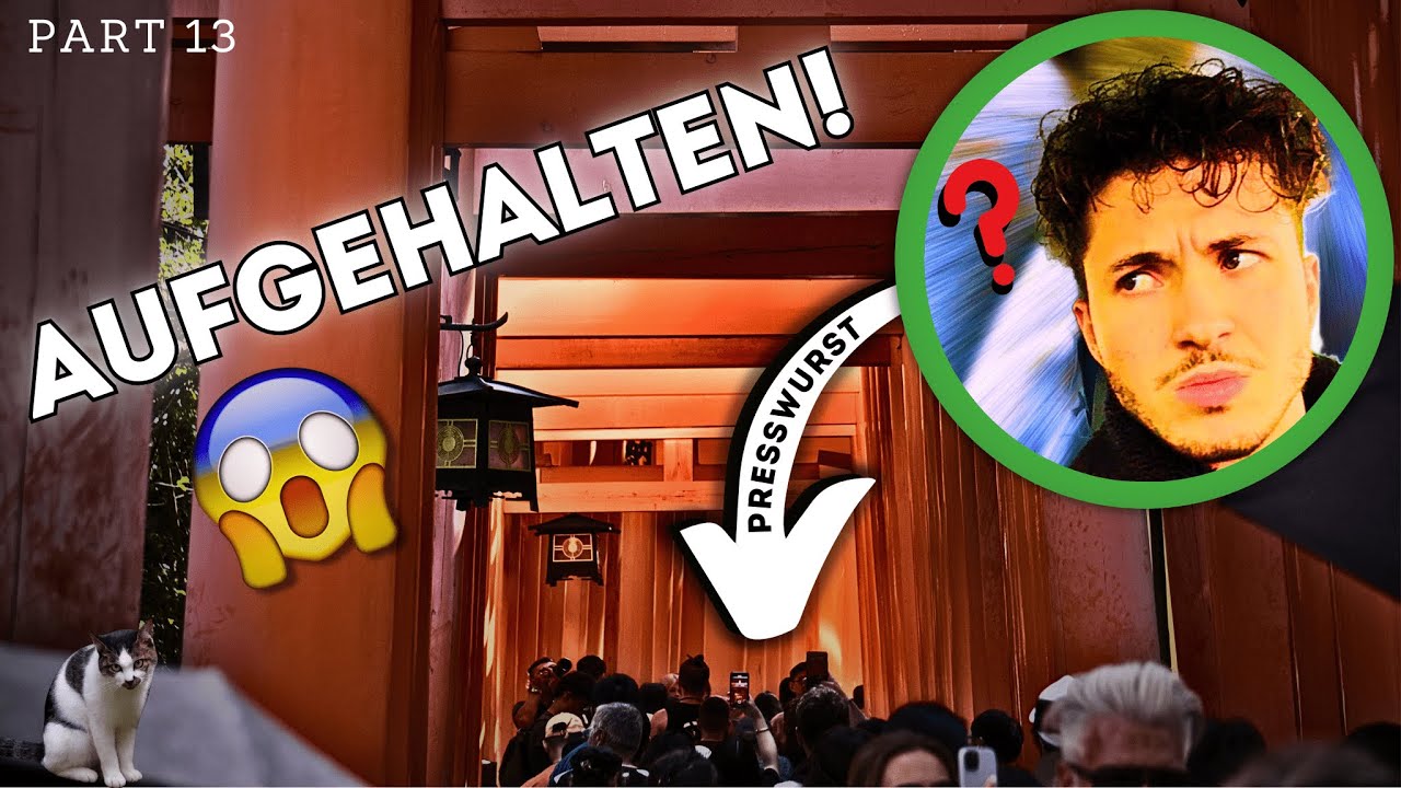 Warum ich den Gipfel nicht erreicht habe...