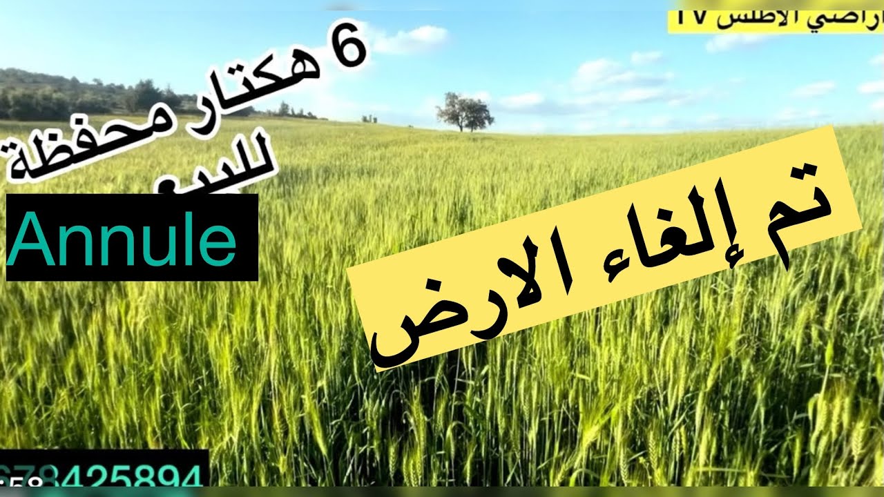 ارض فلاحية محفظة 6 هكتار على بعد 10 klm من خنيفرة تمن البيع 44 مليون