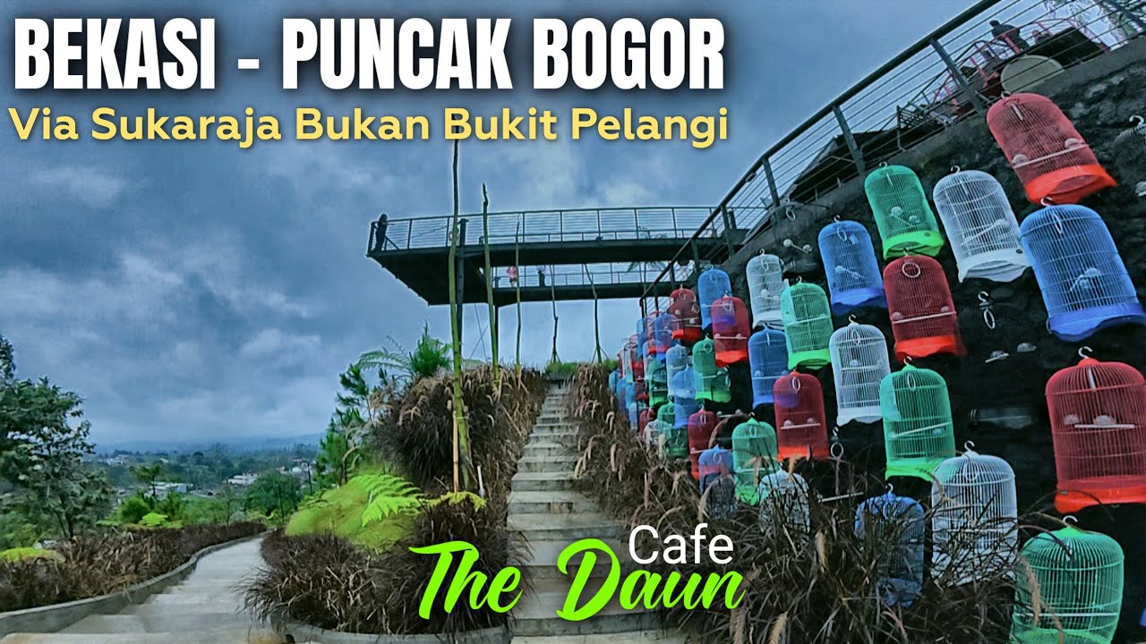 Rekomendasi Tempat Ngopi Di Puncak Bogor Dengan Pemandangan CITY LIGHT TERBAIK