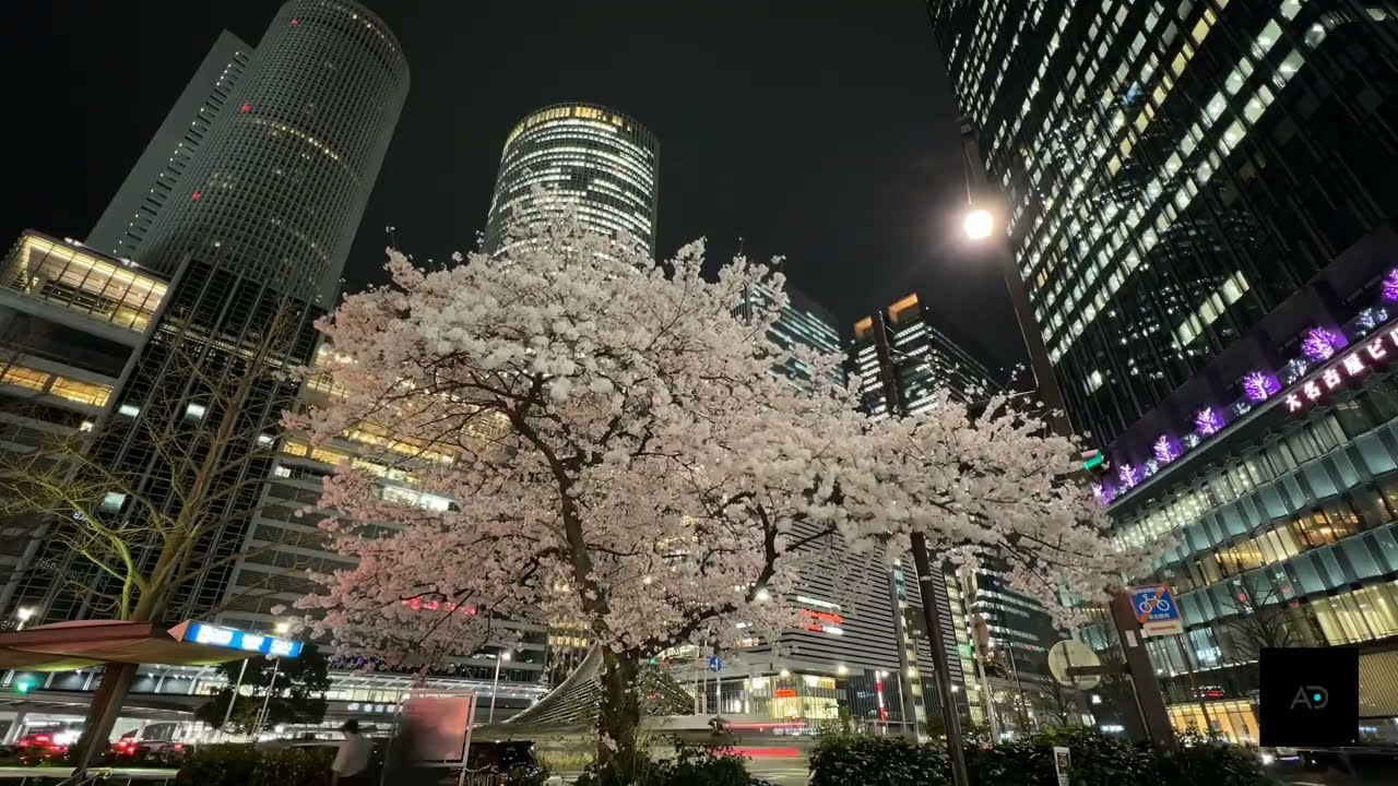 Música Eletrônica para Relaxar e Focar • Deep House Mix | Álbum: Horizontes de Neon