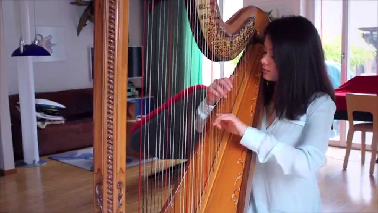 Nothing Really Matters - Mr. Probz (Harp Cover)