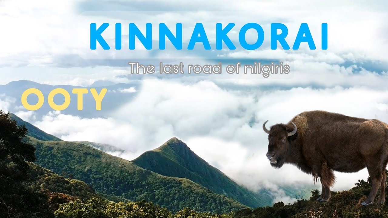 Hidden heaven in Tamil nadu • Kinnakorai village • ooty • Geddai • The nilgiris part-2 | mulli