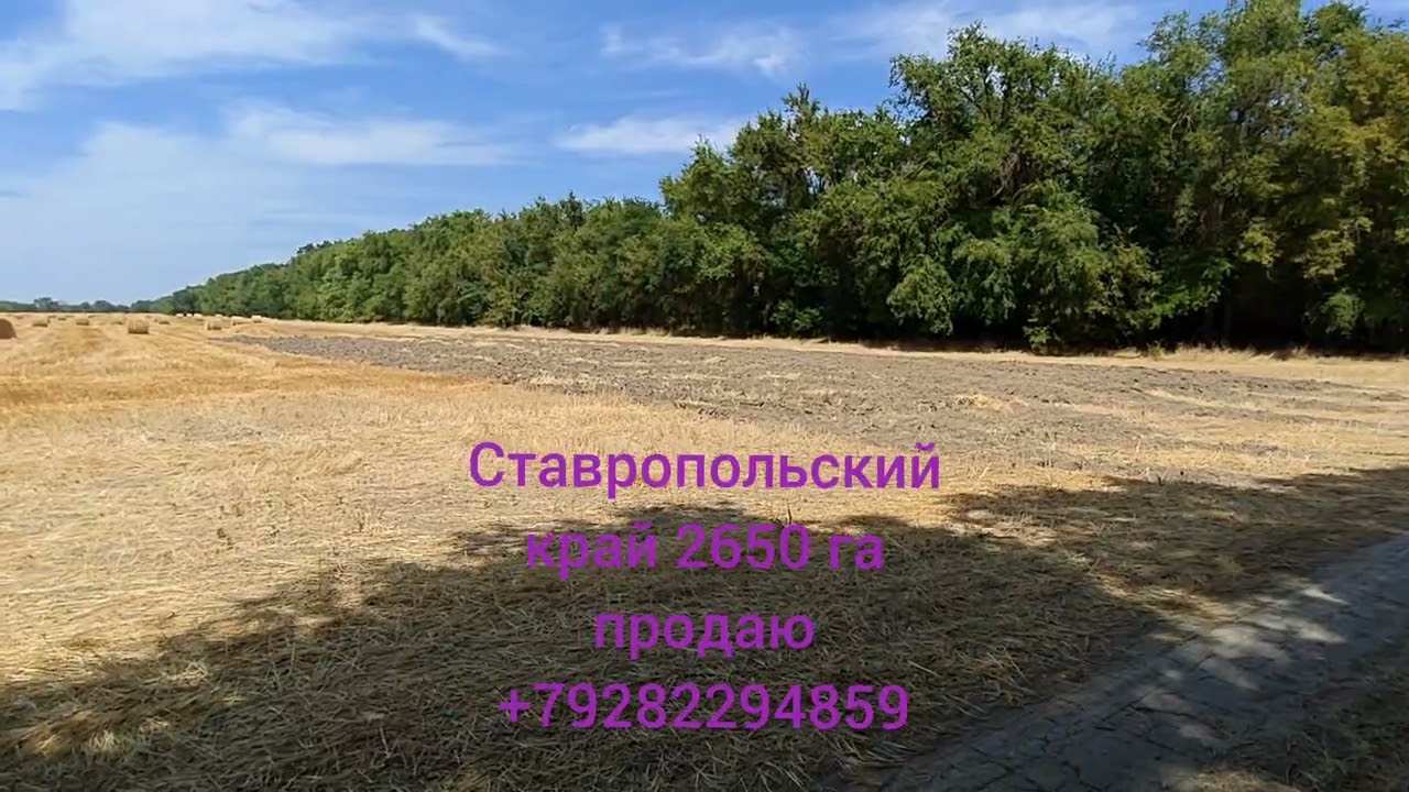 Продажа сельскохозяйственной земли и сельхоз.предприятий в Ставропольском крае.+79282294859 Алексей