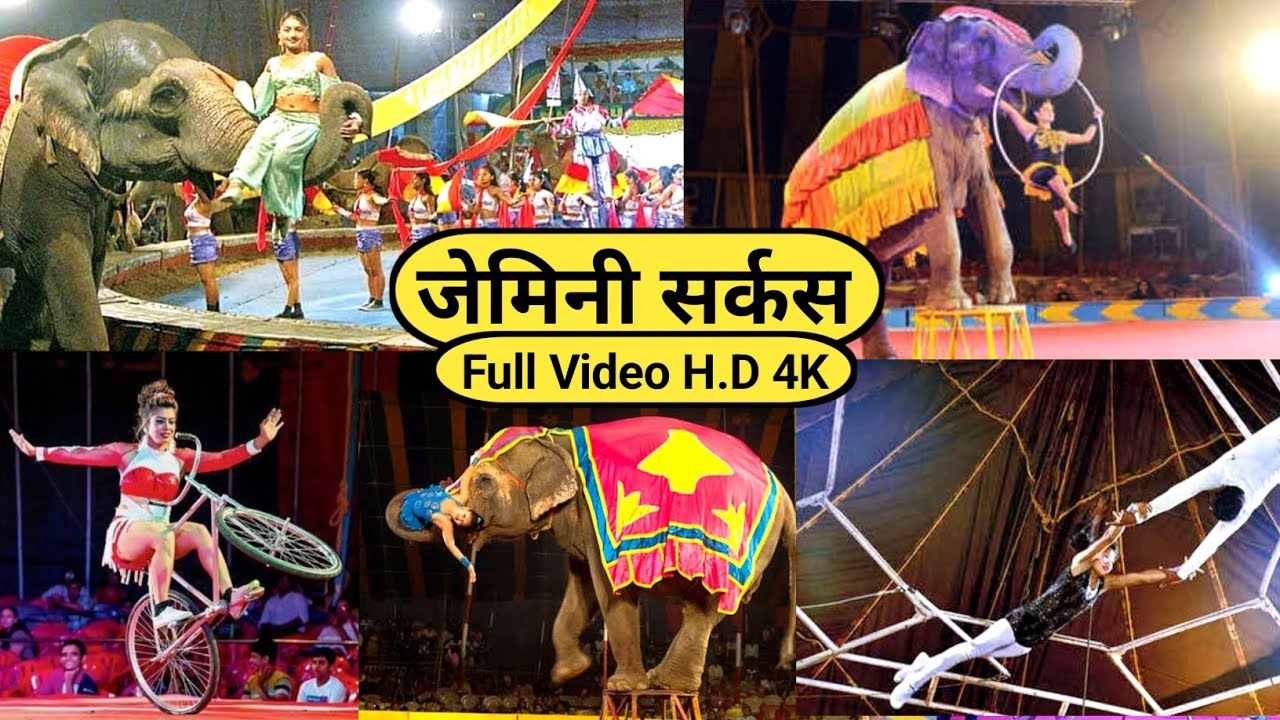 राजगीर मेला को Hit किया हुआ है एक सर्कस | लोग का भीड़ काबु नही हो पा रहा #rajgirmalemasmela #rajgir