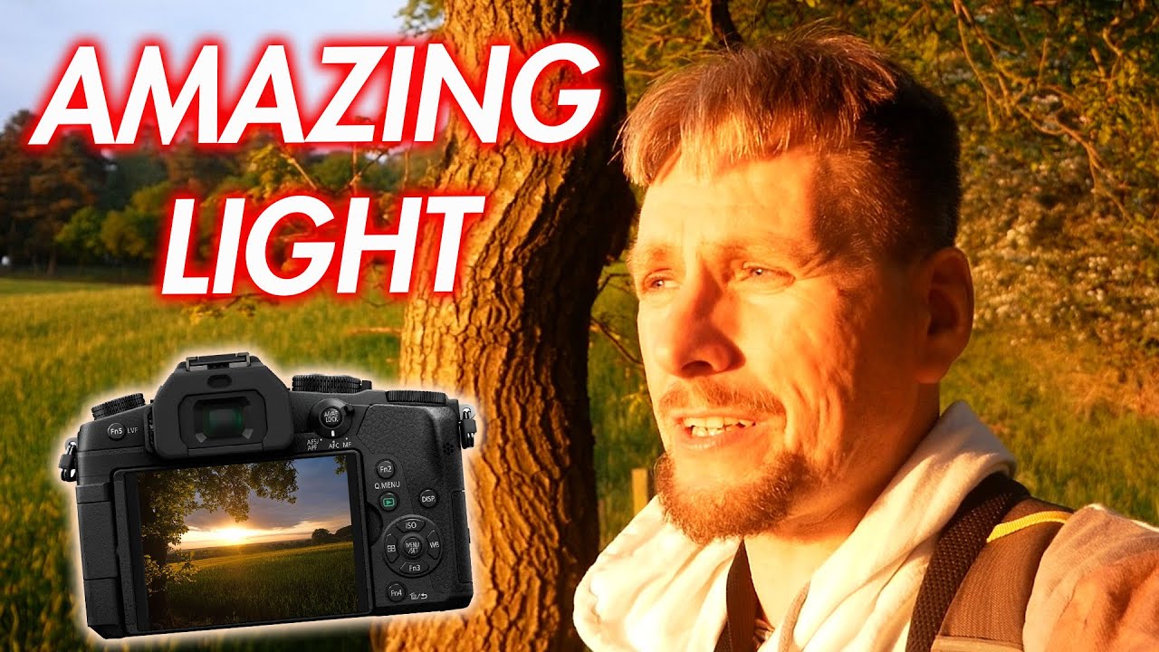 Cannock Chase Sunset Photography & Overnight in Micro Camper