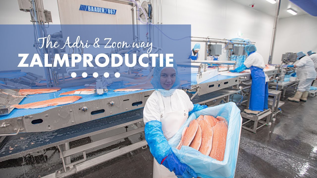 Zalmproductie Adri   Duitse trim