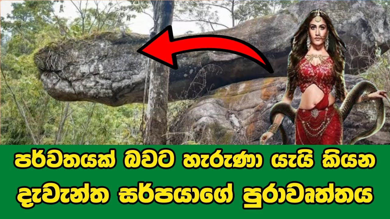 ශාපයක් නිසා ගල් පර්වතයක් බවට හැරුණා යැයි කියන දැවැන්ත සර්පයාගේ පුරාවෘත්තය | Naka Cave Thailand