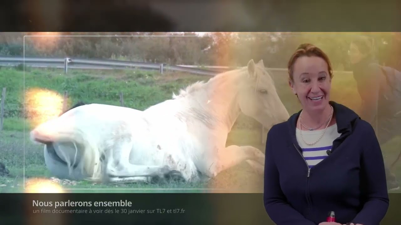 Nous parlerons ensemble teaser TL7