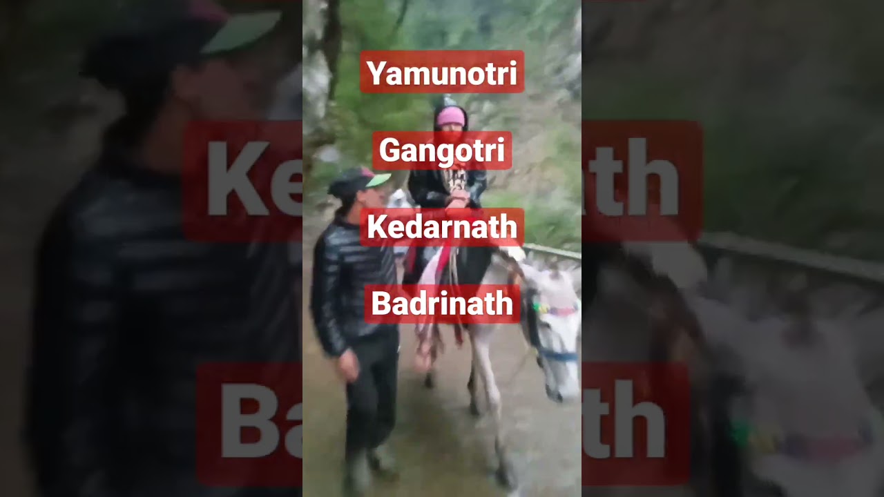 Chota char dham #haridwar #trending #youtubeshorts #shiv #viral #shorts
