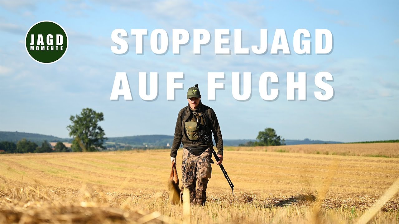 Fuchsjagd im Juli | JagdMomente